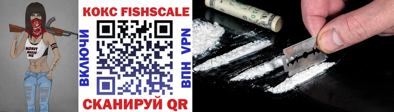 Кокаин Fish Scale  МЕГА вход  Инза  купить  
