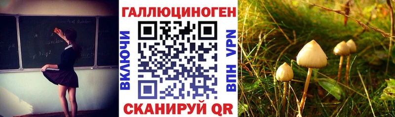 Галлюциногенные грибы GOLDEN TEACHER  kraken зеркало  Инза 